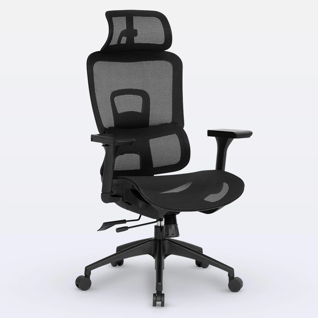 Cadeira de Escritório Ergonômica DT3 Valor Special Edition